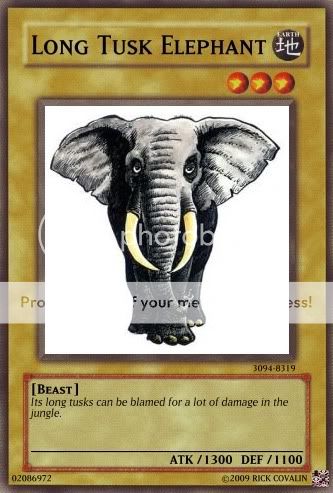 LongTuskElephant.jpg