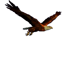 free spirit