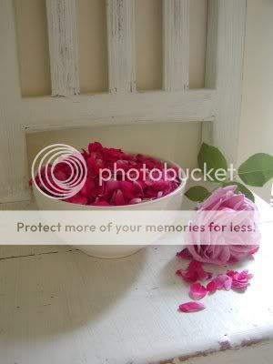 różarnia różarnia shabby chic