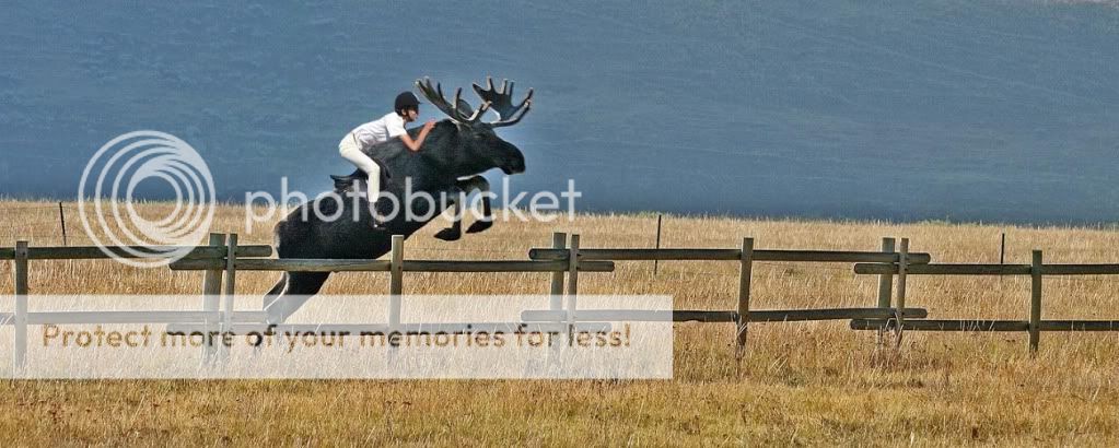 funny photoshop pictures. Funny photoshop competition!