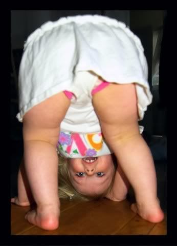 http://i677.photobucket.com/albums/vv135/HuginnMuninnandMe/HinePotss-1.jpg