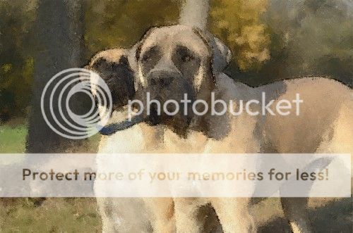 FotoSketcher-dogs2_zps2d64d357.jpg