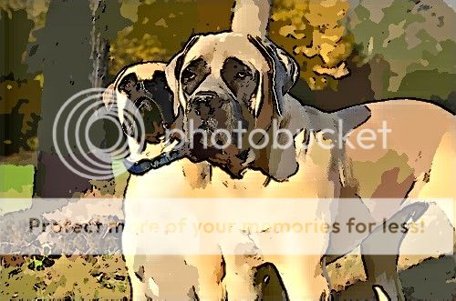 FotoSketcher-dogs6_zpsa56060f5.jpg