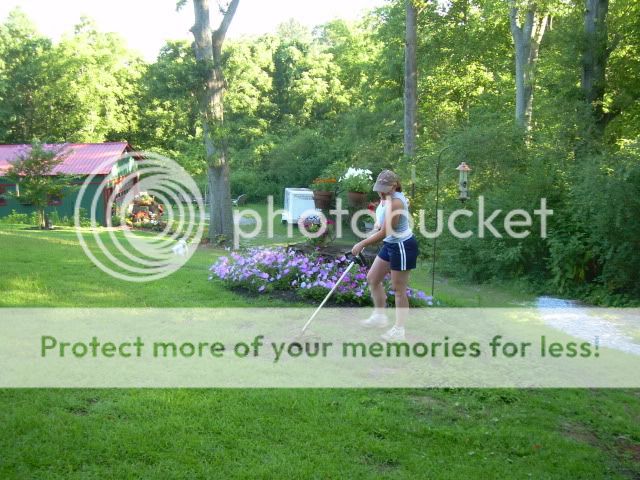 Yard-July32009_0292.jpg