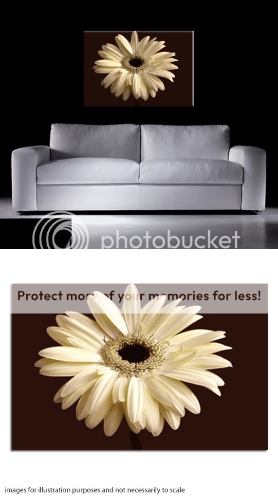 Canvas Picture Cream Brown Floral Wall Art Print Framed eBay