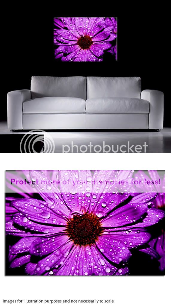 Large Purple Floral Canvas Wall Art Print Framed 30x20" eBay