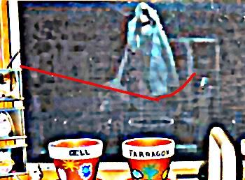[Image: kitchenreflection.jpg]