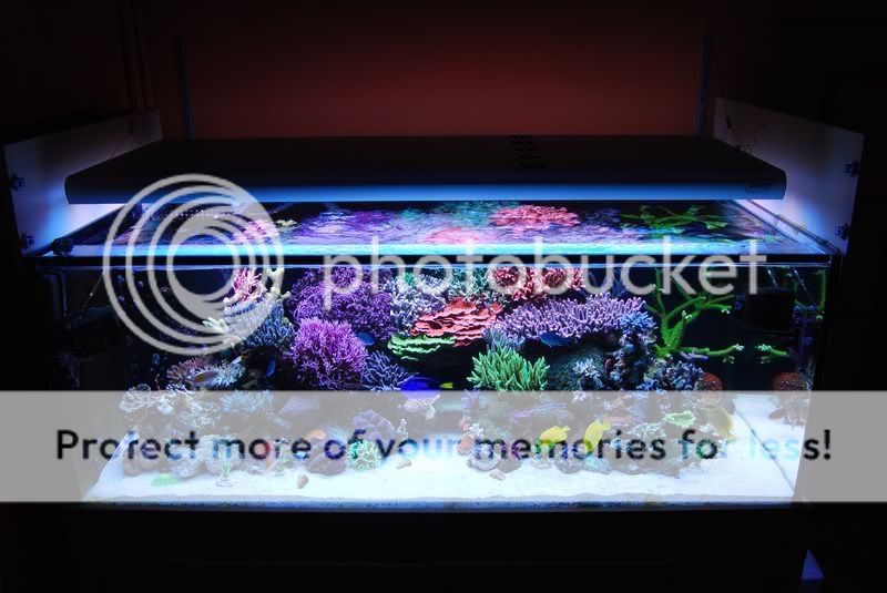Szymon's tank