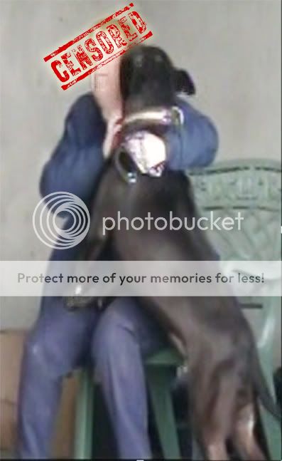 Lennox Kissing Dog Warden