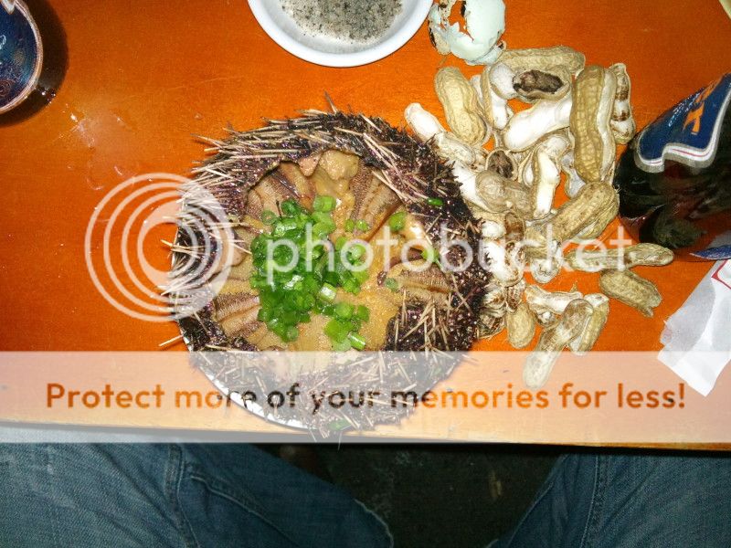 Cho mình hỏi cách phân biệt đt Sony C901i hàng dựng và hàng cty ntn? - 1