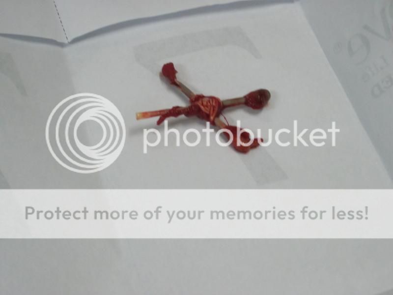 Đố vui, trò chuyện cùng anh em!