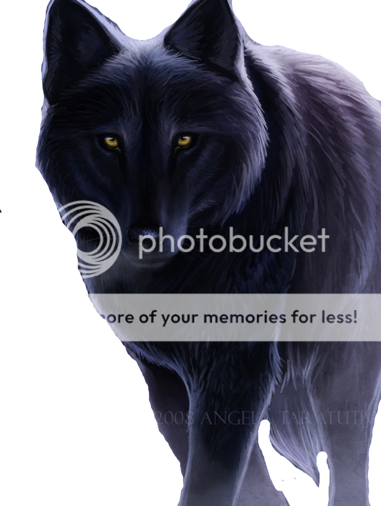 Dark_Wolf_commission_by_Angela_T-1.png