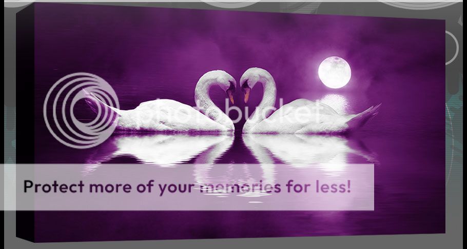Swans By Moonlight >> Large Swans Moonlight Box Canvas Purple Wall Art Picture 103 X 52 Cm Swans By Moonlight >> Large Swans Moonlight Box Canvas Purple Wall Art Picture 103 X 52 Cm